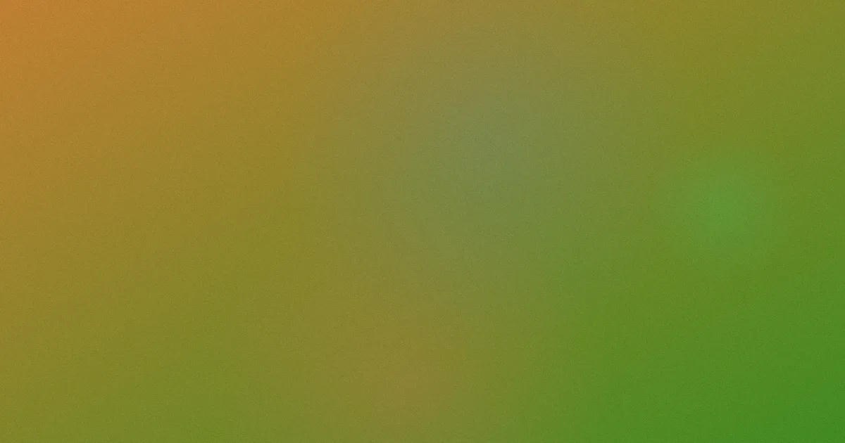张博恒推荐：新手看什么